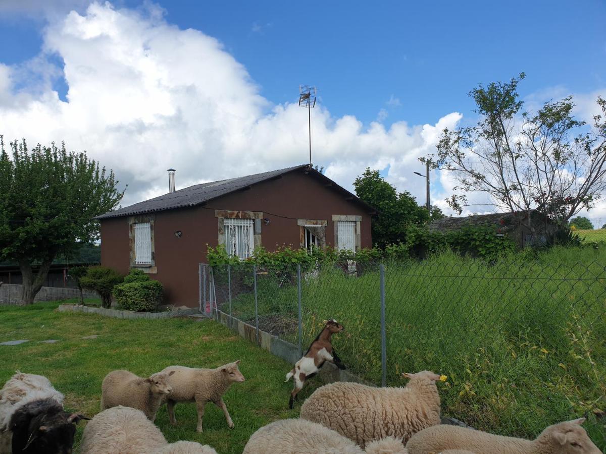 Villa Anamar Lugo Esterno foto